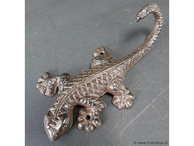 Ijzeren salamander - afbeelding 2 van  5