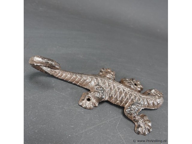 Ijzeren salamander - afbeelding 3 van  5