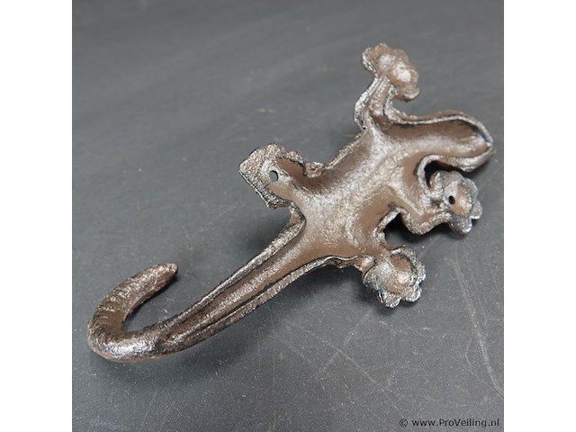 Ijzeren salamander - afbeelding 5 van  5