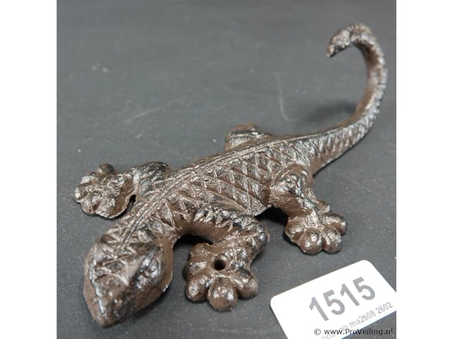 Ijzeren salamander - afbeelding 1 van  5