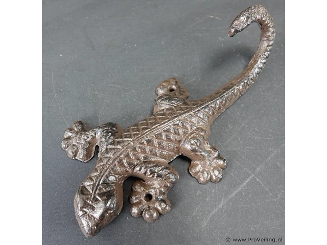 Ijzeren salamander - afbeelding 2 van  5