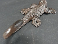 Ijzeren salamander - afbeelding 4 van  5