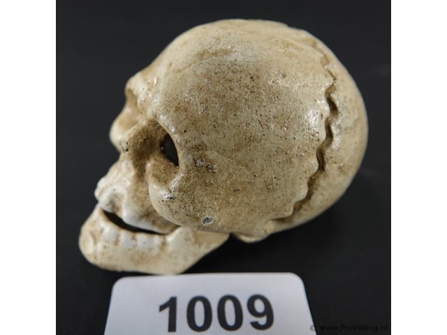 Ijzeren schedel als flesopener - afbeelding 1 van  5