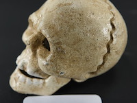 Ijzeren schedel als flesopener - afbeelding 1 van  5