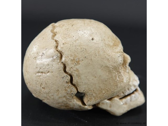 Ijzeren schedel als flesopener - afbeelding 2 van  5