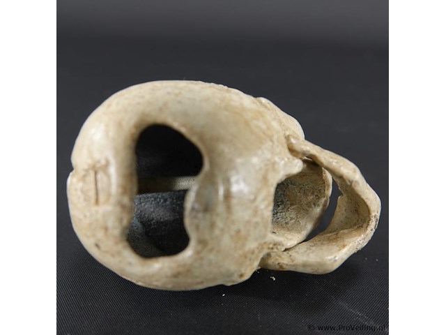 Ijzeren schedel als flesopener - afbeelding 4 van  5