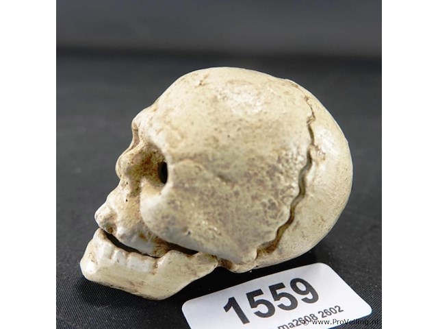 Ijzeren schedel als flesopener - afbeelding 1 van  5