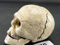 Ijzeren schedel als flesopener - afbeelding 1 van  5