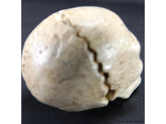 Ijzeren schedel als flesopener - afbeelding 3 van  5