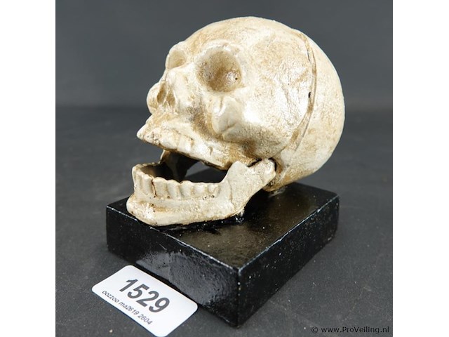 Ijzeren schedel op basement - afbeelding 1 van  5