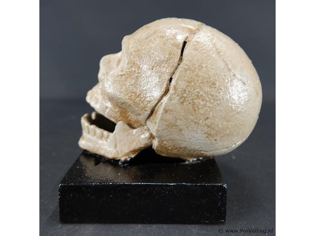 Ijzeren schedel op basement - afbeelding 2 van  5