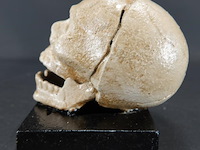 Ijzeren schedel op basement - afbeelding 2 van  5