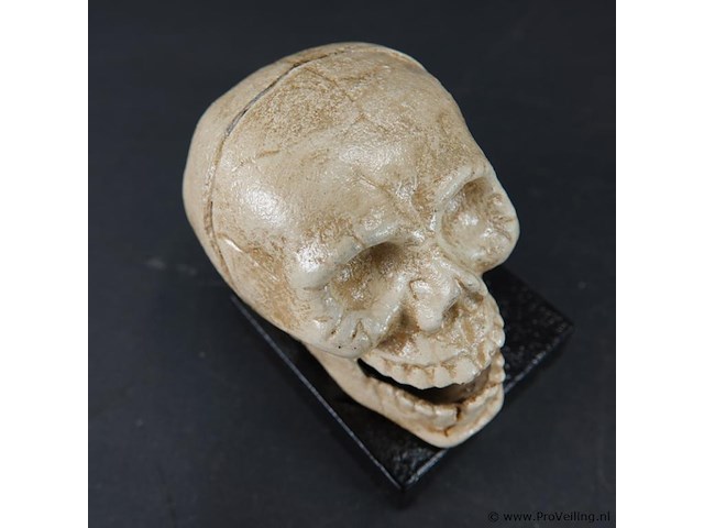 Ijzeren schedel op basement - afbeelding 4 van  5