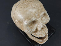 Ijzeren schedel op basement - afbeelding 4 van  5