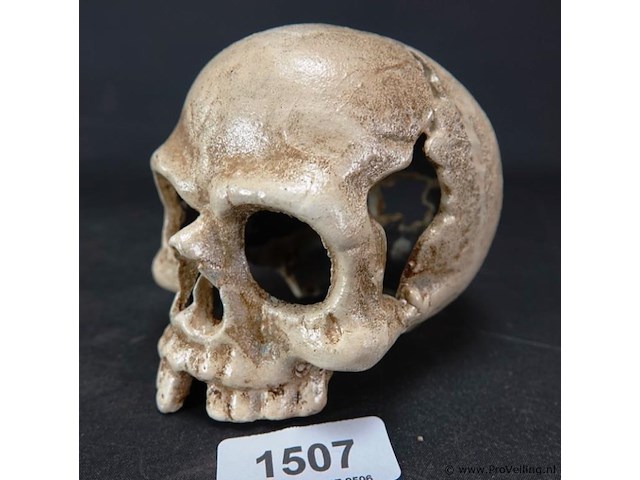 Ijzeren schedel - afbeelding 1 van  5