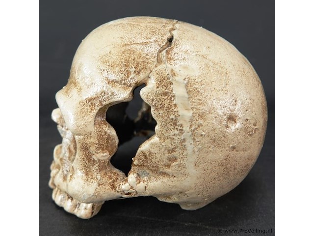 Ijzeren schedel - afbeelding 2 van  5