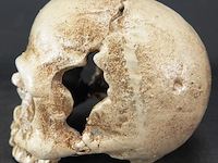 Ijzeren schedel - afbeelding 2 van  5