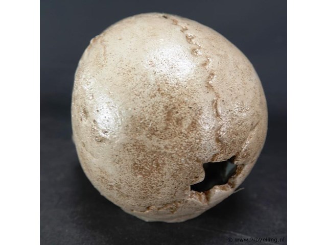 Ijzeren schedel - afbeelding 3 van  5