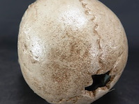 Ijzeren schedel - afbeelding 3 van  5