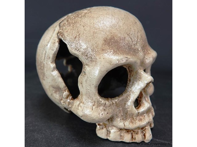 Ijzeren schedel - afbeelding 4 van  5