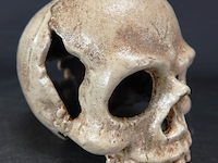 Ijzeren schedel - afbeelding 4 van  5