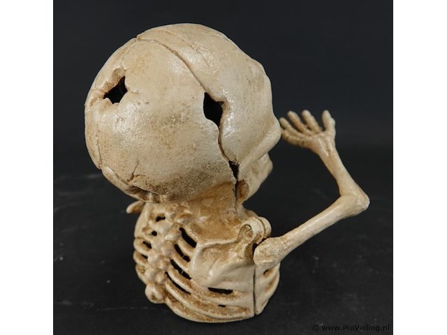 Ijzeren skelet als muntenhapper - afbeelding 4 van  5