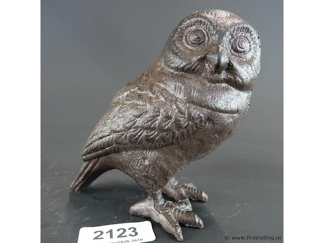 Ijzeren uil - afbeelding 1 van  5