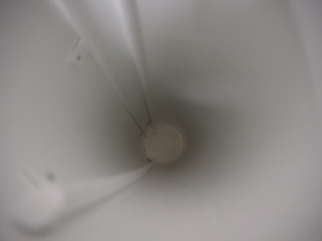 Ilapak - afbeelding 40 van  49