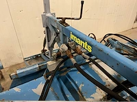 Imants asperge ruggenfrees - afbeelding 3 van  13