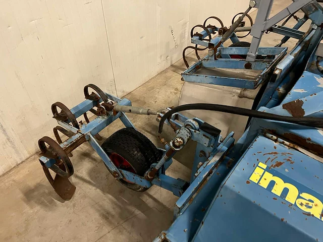 Imants asperge ruggenfrees - afbeelding 5 van  13