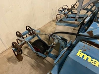 Imants asperge ruggenfrees - afbeelding 5 van  13
