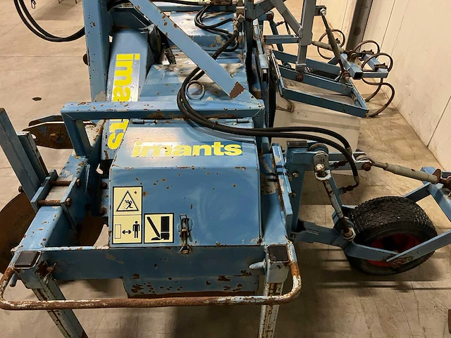 Imants asperge ruggenfrees - afbeelding 9 van  13