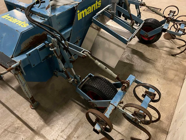 Imants asperge ruggenfrees - afbeelding 10 van  13