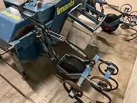 Imants asperge ruggenfrees - afbeelding 10 van  13