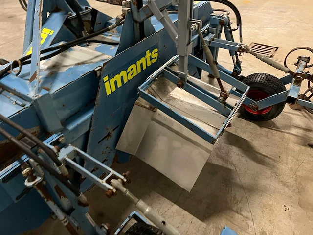 Imants asperge ruggenfrees - afbeelding 11 van  13