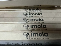Imola - 60 x 60 cm - vloertegel 7,56 m2 - afbeelding 4 van  4