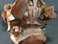 In hardhout gesneden oosterse wijze man - afbeelding 5 van  5