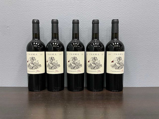 Inama carmenere piu 2021 (5x) - afbeelding 1 van  3