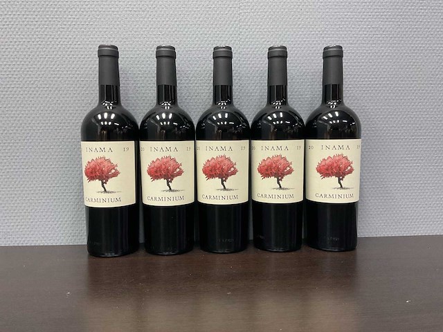 Inama carminium carmenere 2019 (5x) - afbeelding 1 van  3