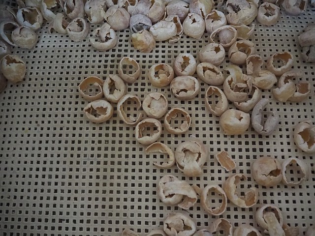 Inauen maschinen ag - afbeelding 6 van  8