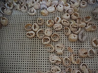 Inauen maschinen ag - afbeelding 6 van  8