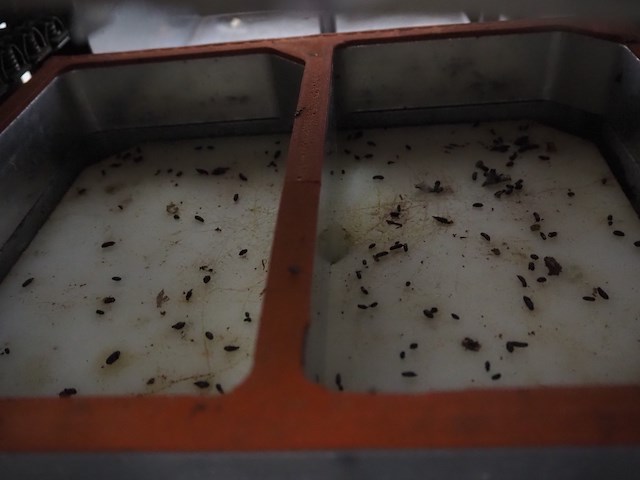 Inauen maschinen ag - afbeelding 8 van  35