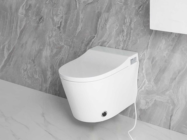 Inbouw wandcloset met reiniging en automatische closetzitting - afbeelding 2 van  23