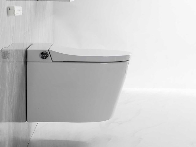 Inbouw wandcloset met reiniging en automatische closetzitting - afbeelding 4 van  23