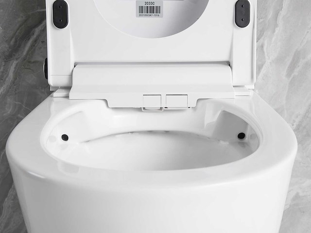 Inbouw wandcloset met reiniging en automatische closetzitting - afbeelding 6 van  23