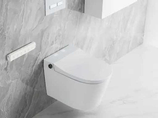 Inbouw wandcloset met reiniging en automatische closetzitting - afbeelding 19 van  23