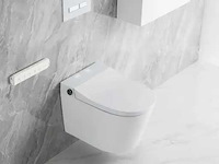 Inbouw wandcloset met reiniging en automatische closetzitting - afbeelding 19 van  23