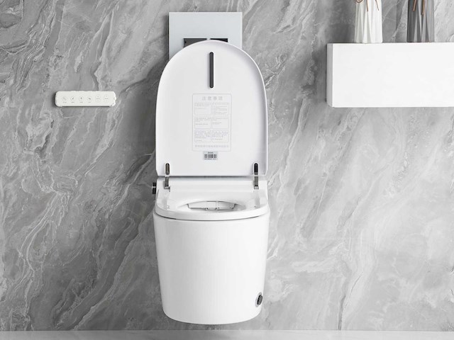 Inbouw wandcloset met reiniging en automatische closetzitting - afbeelding 22 van  23