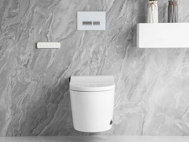 Inbouw wandcloset met reiniging en automatische closetzitting - afbeelding 23 van  23