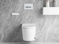 Inbouw wandcloset met reiniging en automatische closetzitting - afbeelding 23 van  23